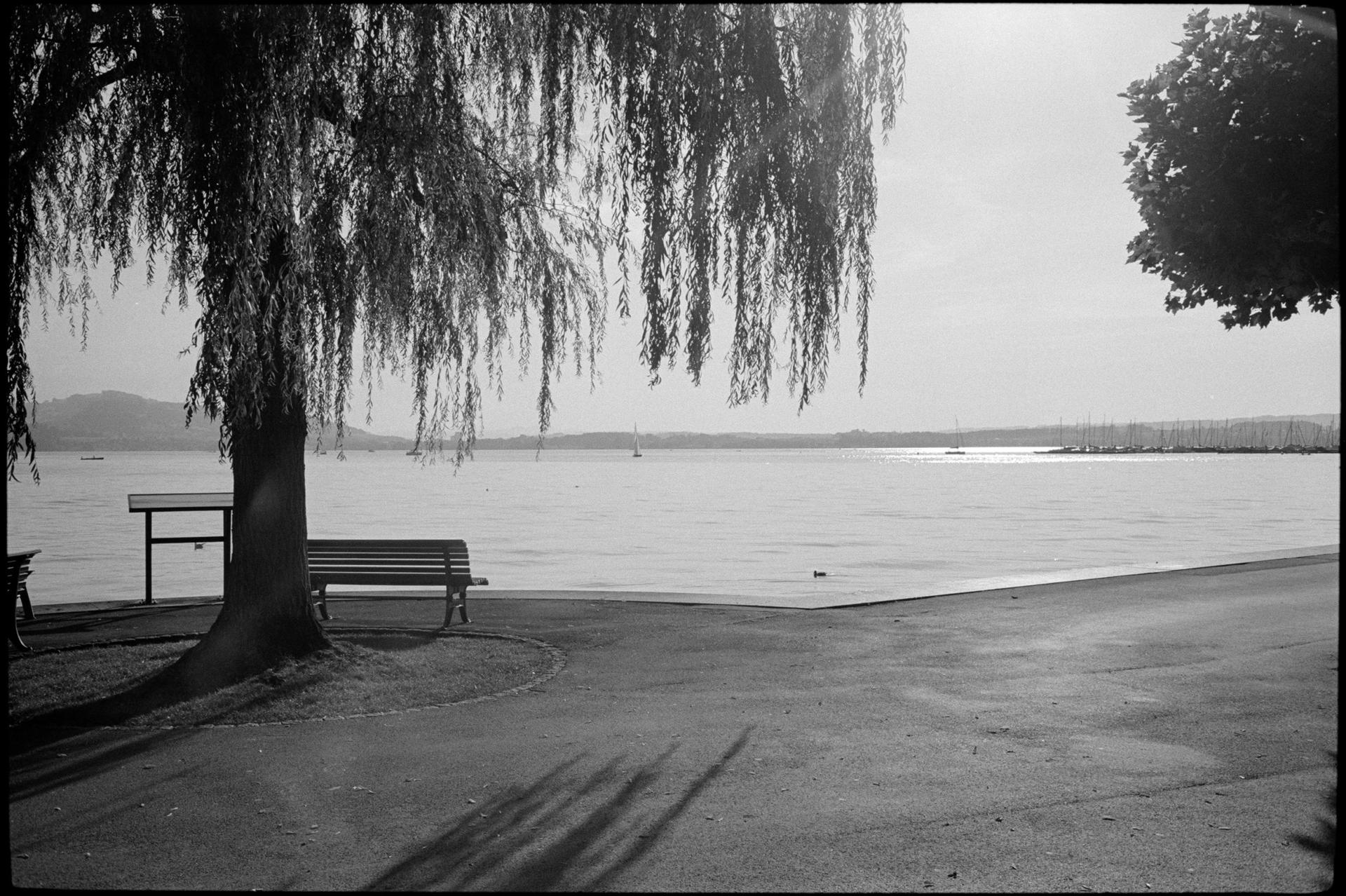 lake in bright light without hood