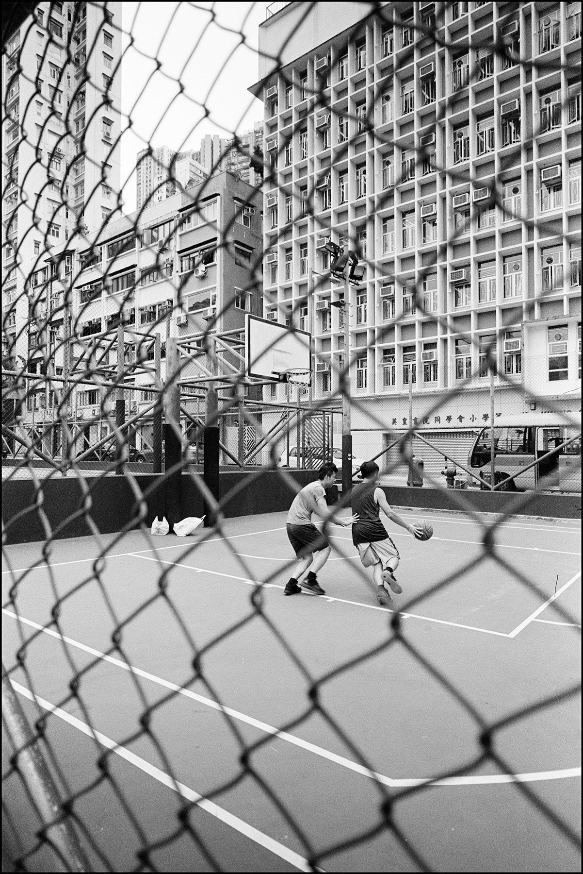 basketball court