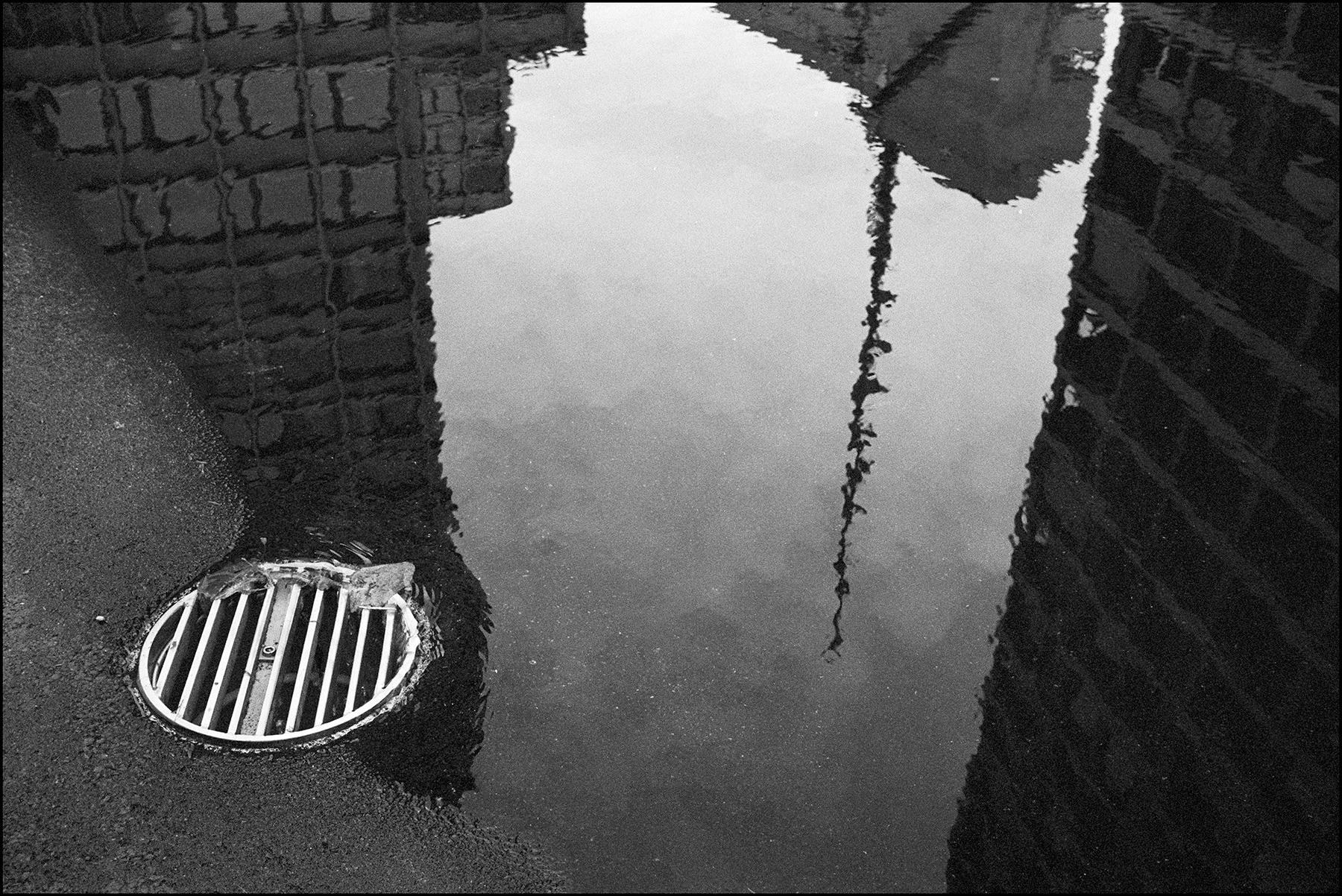 reflections in a puddle